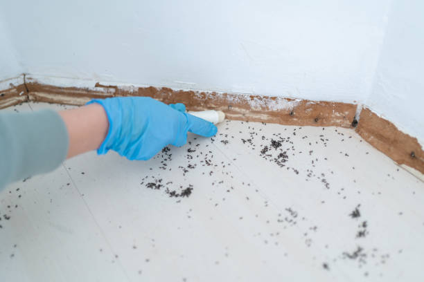 Professional Pest control in Standish, MI